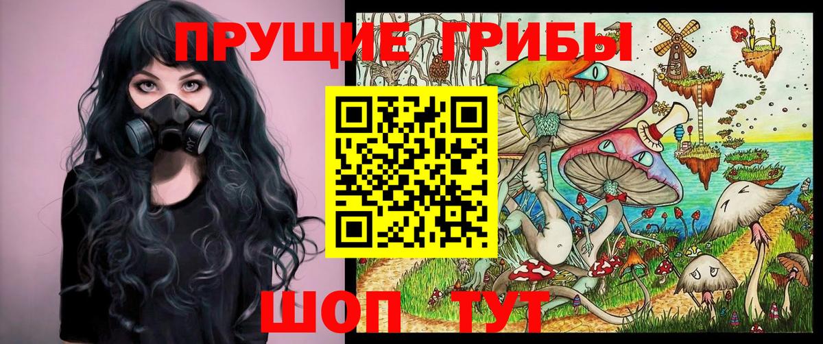 Шатура  Псилоцибиновые грибы Psilocybe  Псилоцибиновые грибы Cubensis  Вход с VPN 